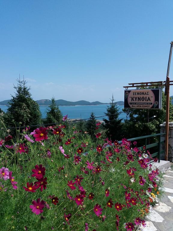 Kynthia Guesthouse 니오코리언 외부 사진